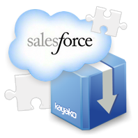 Salesforce Integration